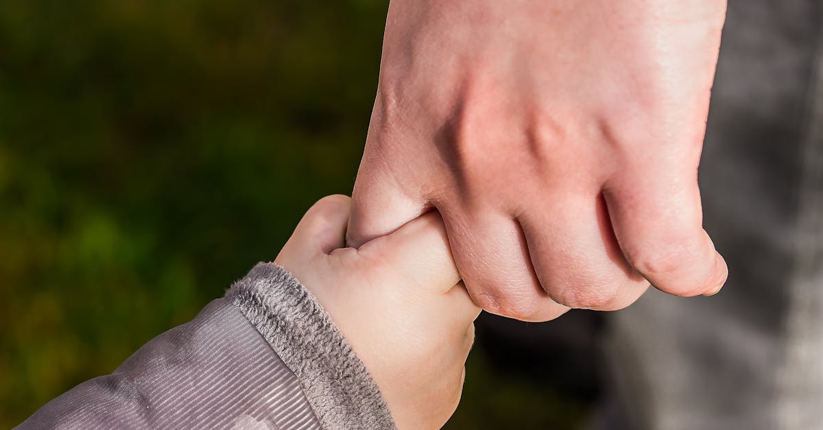 découvrez des solutions de garde d’enfants fiables et adaptées à vos besoins. informations, conseils pratiques et options pour assurer le bien-être et la sécurité de vos enfants au quotidien.