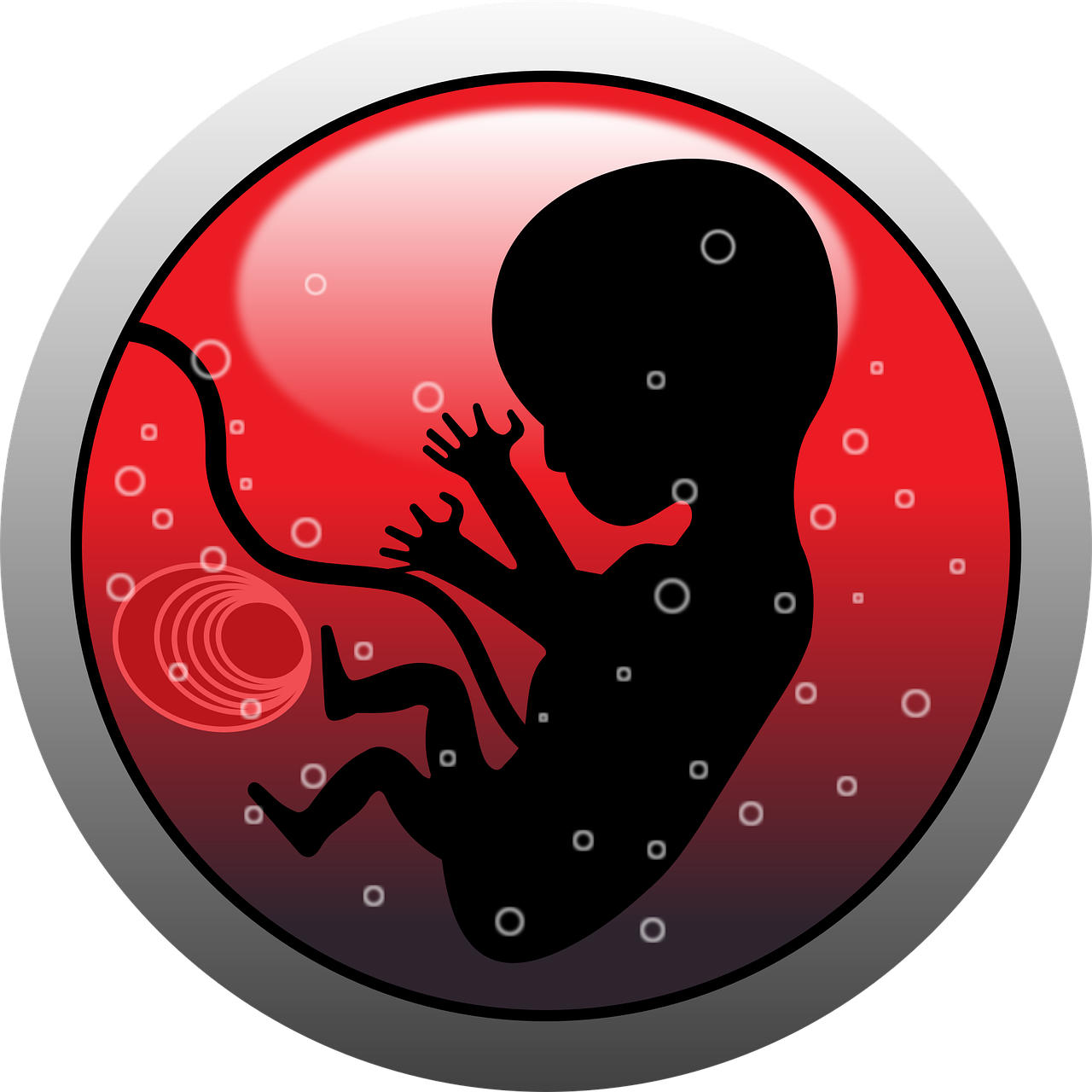 découvrez les étapes clés du développement de votre bébé, de la naissance aux premiers mois, pour mieux accompagner sa croissance et son épanouissement.