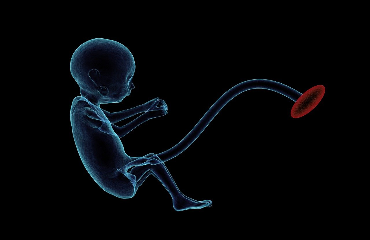 soins prénatals : suivez votre grossesse avec des consultations médicales régulières, des conseils de santé et un accompagnement personnalisé pour garantir le bien-être de la future maman et du bébé.