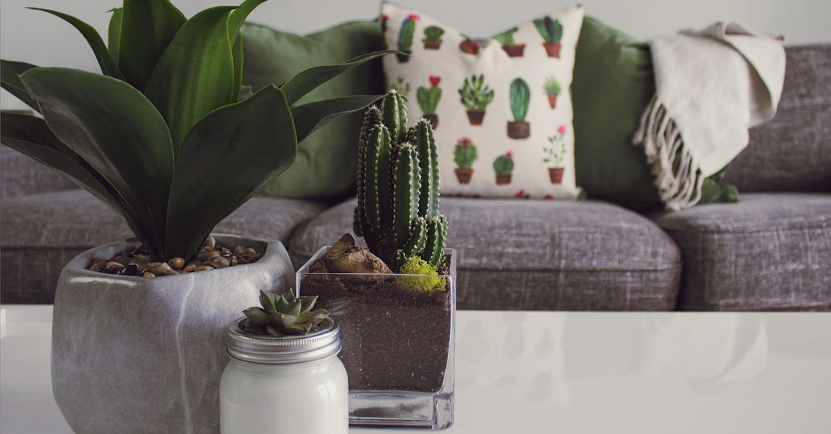 Coussins d’allaitement : le confort indispensable pour les mamans