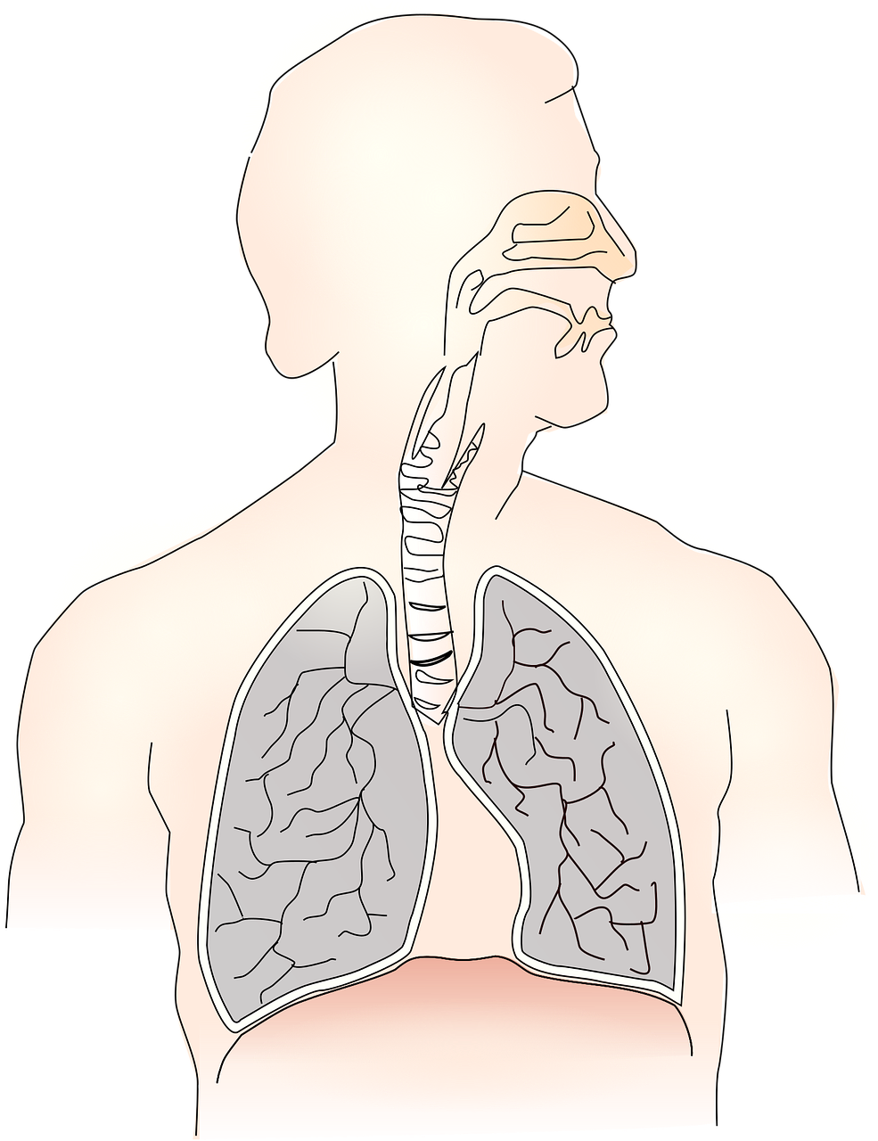 Comment la respiration peut-elle influencer votre accouchement ?