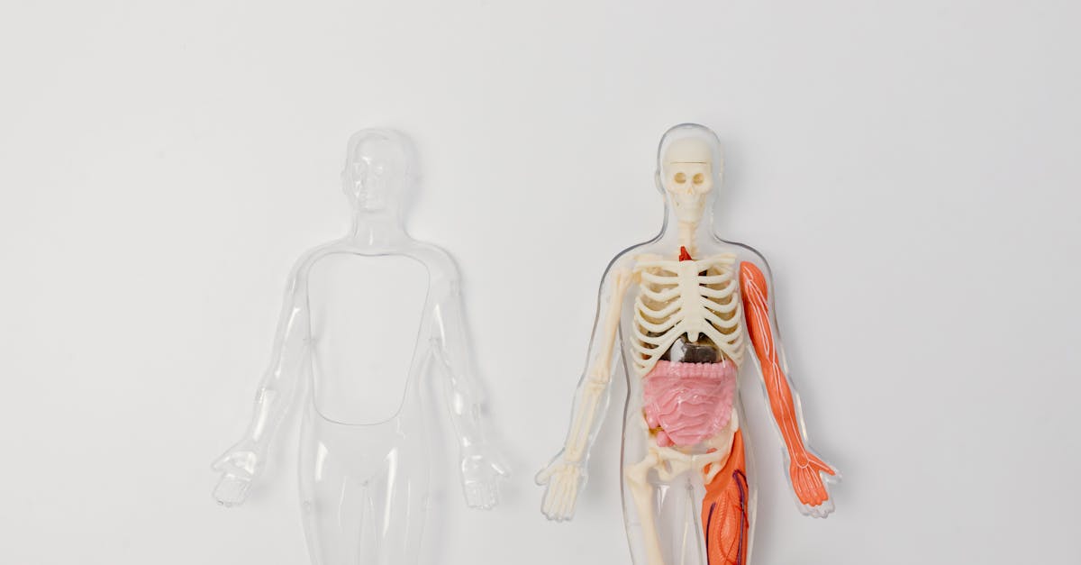 Hospitalisation pour accouchement : tout ce que vous devez savoir