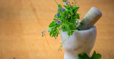 Médecine alternative pendant la grossesse : des solutions naturelles pour un bien-être accru
