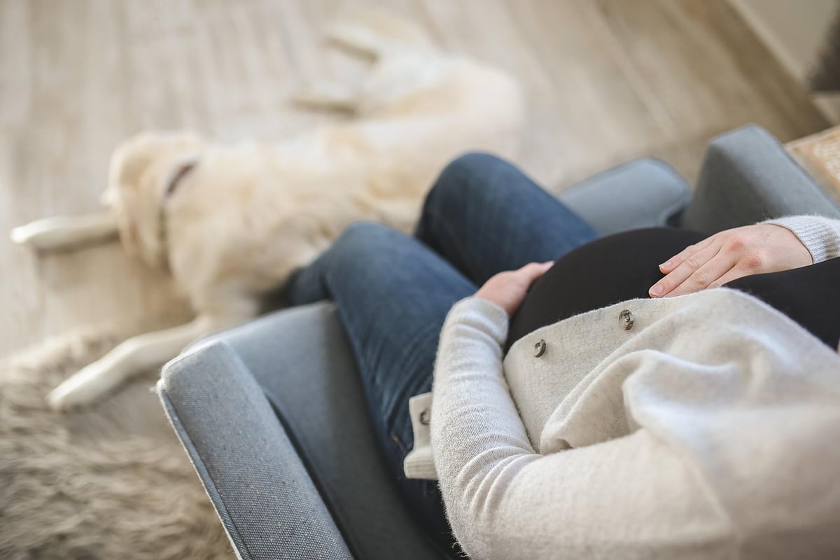 Quels sont les symptômes courants de la grossesse ?